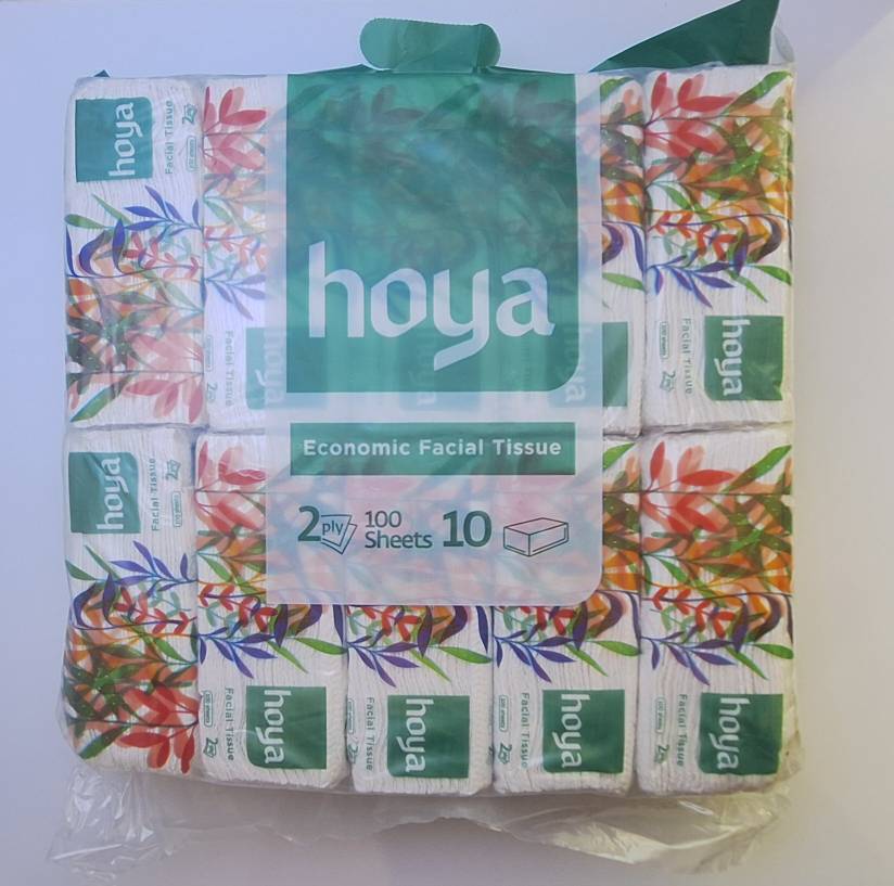 دستمال کاغذی اقصادی 100 برگ دولا هویا (2000 برگی)