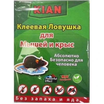 چسب موش کتابی کیان
