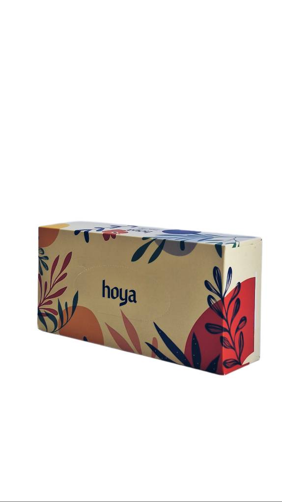 دستمال کاغذی جعبه ای 100 برگ دولایه هویا (بسته 36 عددی در 6 طرح)